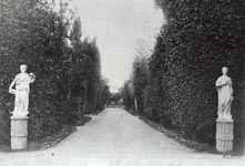 Дорога к парку в Оливуцце