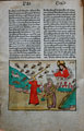 Biblia [Strassburg: Johann Gruninger, 2.V.1485]. Исход 8: четвертая казнь египетская, наказание пёсьими мухами. gg7 v.