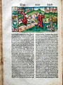 Biblia [Augsburg: Johann Otmar (?), 1507]. 3-я Царств: убийство Иоаса, царя Иудейского. ff7 v.