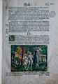 Biblia [Wittemberg: Hans Lufft, 1541]. Бытие 3: Адам и Ева. А2 r.