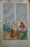 Biblia [Strassburg: Johann Grüninger, 2.V.1485]. Исход 8: четвертая казнь египетская, наказание пёсьими мухами. gg<sub>7</sub> v.