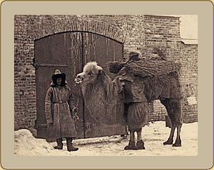 A Camel and a Kyrgyz Man