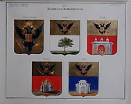 Coats of Arms of  Volyn Province. Novohrad-Volynskyi, Labun, Zaslaw, Ostrog, Rovno