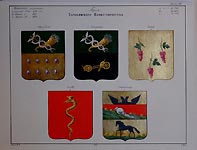 Coats of Arms of  Kharkov Province. Nedrigaylov (Nedryhayliv), Khotmyzhsk, Izyum, Zmiev, Starobilsk (Starobilsk).