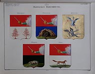 Coats of Arms of  Vologda Province. Krasnoborsk, Ust-Sysolsk, Arkhangelsk, Shenkursk, Mezen