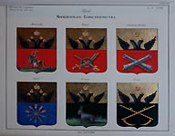 Coats of Arms of  Mogilev Province. Mogilev, Chausy, Bykhov, Orsha, Kopys, Senna