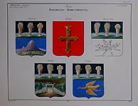 Coats of Arms of  Penza Province. Narovchat, Troitsk, Krasnoslobodsk, Insar, Chembar (now Belinsky).