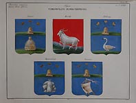 Coats of Arms of  Tambov Province. Usman, Kozlov, Lebedyan, Borisoglebsk, Yelatma.