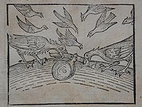 Birds images in the copy Directorium humanae vitae alias Parabolae antiquorum sapientium