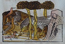 Birds in the pages of the book «Aesop's Fables»