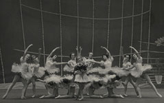 Сцена из балетного спектакля «Цветы» Д. Д. Шостаковича