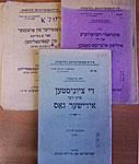 Книги из серии «Еврейская социалистическая библиотека»