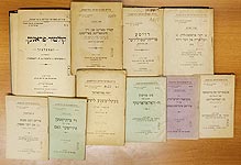 Книги из серии «Еврейская социалистическая библиотека»