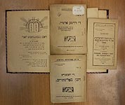 Книги из серии «Еврейская коммунистическая библиотека»