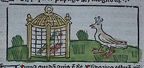 Птицы в «Диалогах животных» Майнуса Майнерского