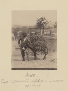  D.I. Ermakov. Donkey Laden with Grass and an Armenian Driver. 1890s