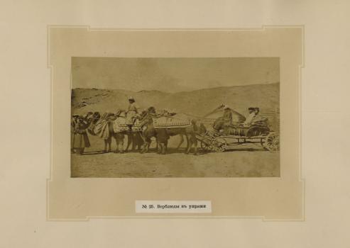  L.K Poltoratskaya. Camels in Harness. 1870s