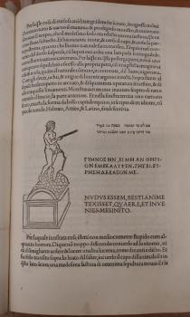 Hypnerotomachia Poliphili. Venetia, 1499