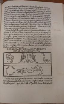 Hypnerotomachia Poliphili. Venetia, 1499