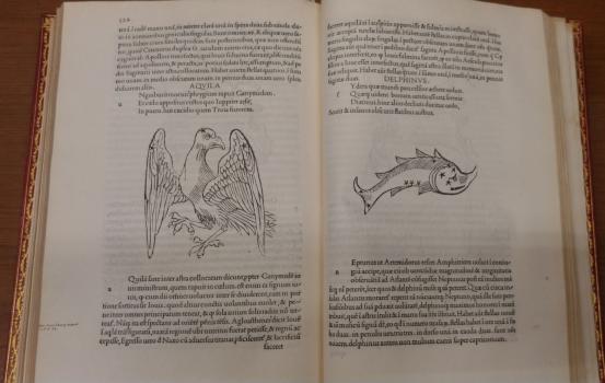 Julii firmici Astronomicorum libri octo integri. Venetiis, 1499