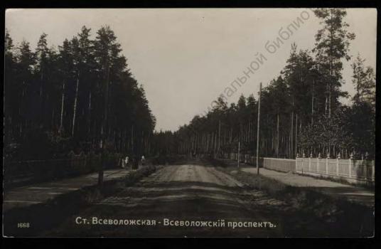 Ст. Всеволожская. Всеволожский проспект