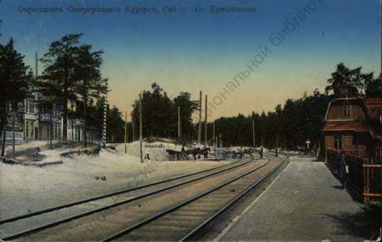 Окрестность Сестрорецкого курорта, СПб. г. Ст. Ермоловская