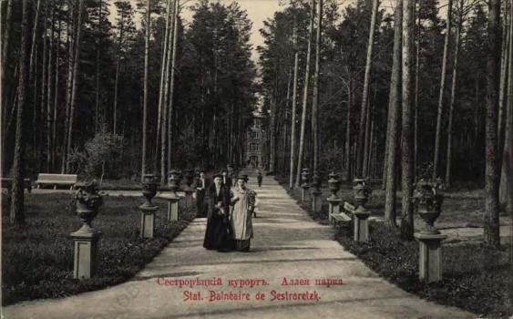 Сестрорецкий Курорт. Аллея парка