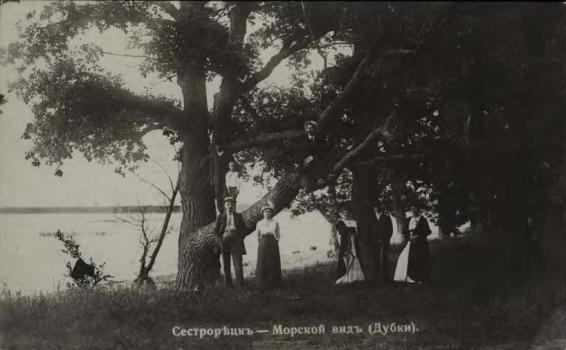 Сестрорецк. Морской вид (Дубки)
