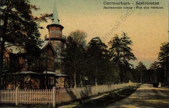 Сестрорецк. Лиственная улица