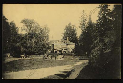 Станция Парголово. Старожиловка, дорога в парк. 1912.
