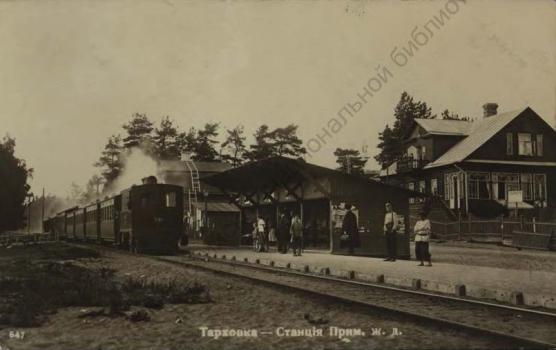 Tarkhovka. [1910-1917]