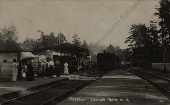 Razliv /Overflow/ Railway Station of Sestroretsk Railway Line. [1910-1917]