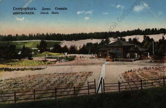 Sestroretsk. Duny /Dunes/. The Railway Station. [1909-1917]
