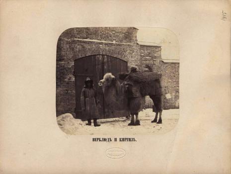 С. М. Вишневский. Верблюд и киргиз. Между 1861 и 1866.