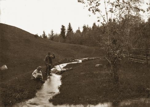 Е. П. Вишняков. Первый нагорный берег Волги. 1892.