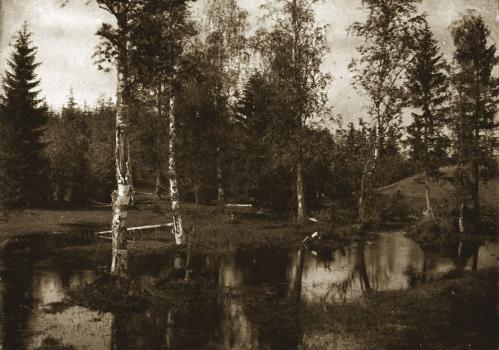 Е. П. Вишняков. Весенний разлив Волги по лугам деревни Алексеевка. 1892.